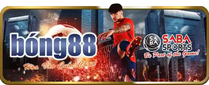 Cá Cược Tennis ae555